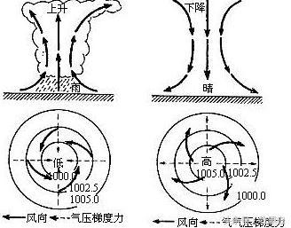 ǿ̨硰ɽˣ¸е֪ʶ㣡