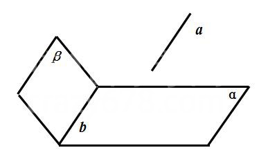 ѧ弸½ڼ⣨𰸣